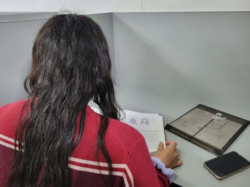 Grupo de estudiantes universitarios sonrientes en un campus, reflejando el impacto positivo de las becas en su educación.